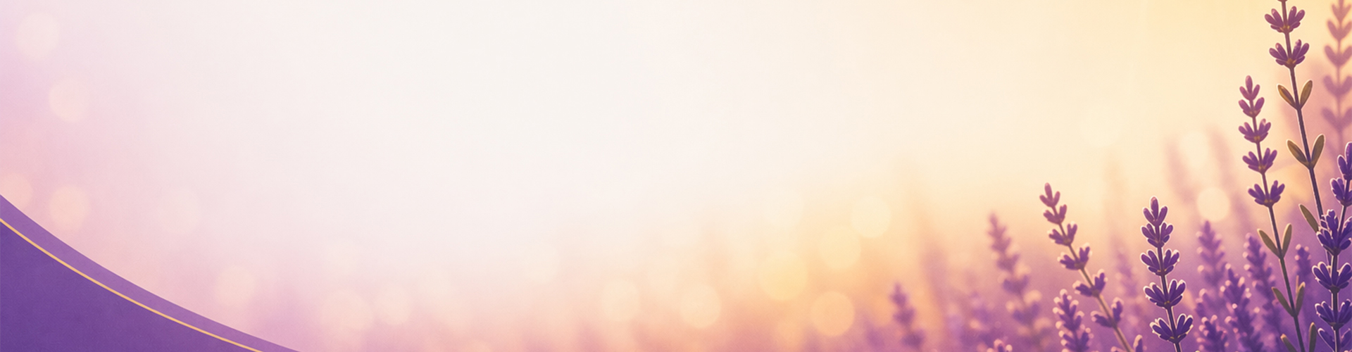 banner image